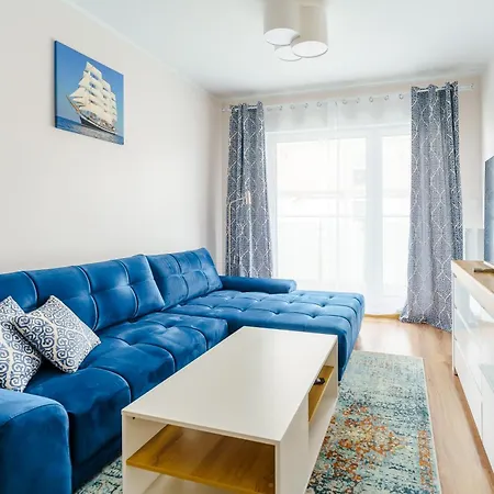 Sunset Surfingbird *