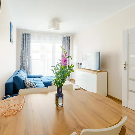 Sunset Surfingbird * Grzybowo (West Pomeranian)