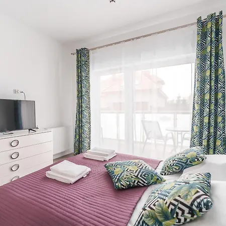 Sunset Surfingbird *