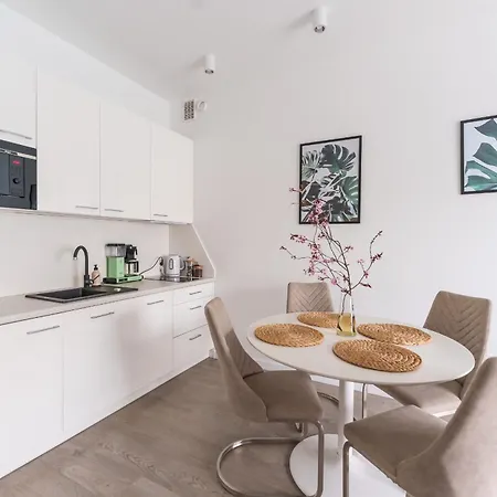 Sunset Surfingbird * Grzybowo (West Pomeranian)