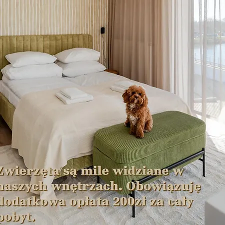 Sunset Surfingbird * Grzybowo (West Pomeranian)